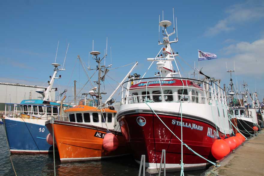 The Fish Quay